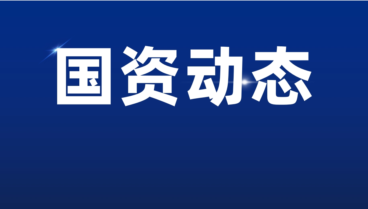 市屬企業(yè)董事長談“聚焦主責(zé)主業(yè)，做強做優(yōu)國企”丨市金